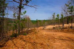 property photo for Stone Creek Phase II Tract 198, 9.3 acres for sale in Latimer County, Oklahoma