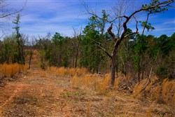 property photo for Stone Creek Phase II Tract 198, 9.3 acres for sale in Latimer County, Oklahoma