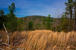 property photo for Stone Creek Phase II Tract 198, 9.3 acres for sale in Latimer County, Oklahoma