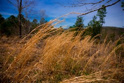 property photo for Stone Creek Phase II Tract 198, 9.3 acres for sale in Latimer County, Oklahoma