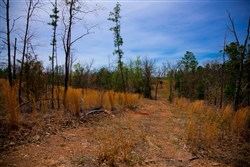 property photo for Stone Creek Phase II Tract 198, 9.3 acres for sale in Latimer County, Oklahoma