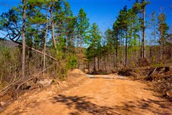 property photo for Stone Creek Phase II Tract 199, 7.02 acres for sale in Latimer County, Oklahoma