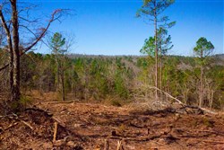 property photo for Stone Creek Phase II Tract 199, 7.02 acres for sale in Latimer County, Oklahoma