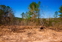property photo for Stone Creek Phase II Tract 200, 6.09 acres for sale in Latimer County, Oklahoma