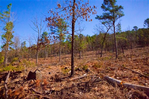 Stone Creek Phase II Tract 201