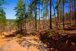 Stone Creek Phase II Tract 201