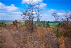 property photo for Stone Creek Phase II Tract 202, 24.53 acres for sale in Latimer County, Oklahoma