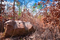 property photo for Stone Creek Phase II Tract 202, 24.53 acres for sale in Latimer County, Oklahoma