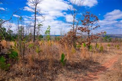 property photo for Stone Creek Phase II Tract 202, 24.53 acres for sale in Latimer County, Oklahoma