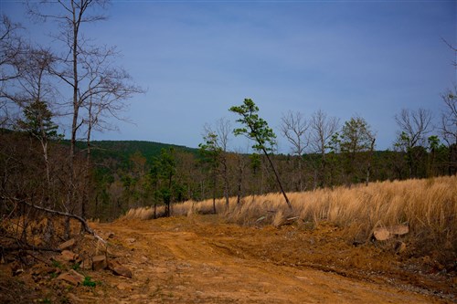Stone Creek Phase II Tract 203