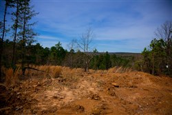 Stone Creek Phase II Tract 203