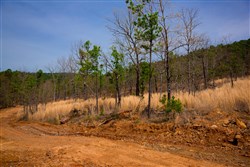 Stone Creek Phase II Tract 203