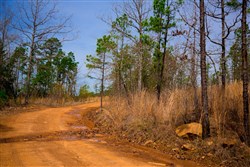 property photo for Stone Creek Phase II Tract 204, 22.61 acres for sale in Latimer County, Oklahoma