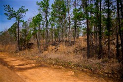 property photo for Stone Creek Phase II Tract 204, 22.61 acres for sale in Latimer County, Oklahoma