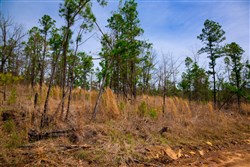 property photo for Stone Creek Phase II Tract 204, 22.61 acres for sale in Latimer County, Oklahoma