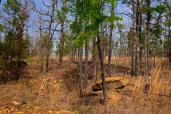 property photo for Stone Creek Phase II Tract 204, 22.61 acres for sale in Latimer County, Oklahoma