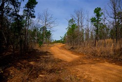 property photo for Stone Creek Phase II Tract 205, 5.94 acres for sale in Latimer County, Oklahoma