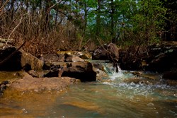 property photo for Stone Creek Phase II Tract 205, 5.94 acres for sale in Latimer County, Oklahoma