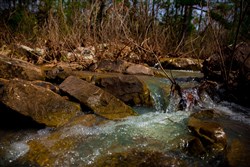 property photo for Stone Creek Phase II Tract 205, 5.94 acres for sale in Latimer County, Oklahoma