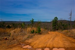 property photo for Stone Creek Phase II Tract 206, 7.89 acres for sale in Latimer County, Oklahoma