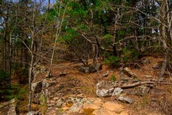 property photo for Stone Creek Phase II Tract 206, 7.89 acres for sale in Latimer County, Oklahoma