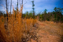 property photo for Stone Creek Phase II Tract 207, 9.72 acres for sale in Latimer County, Oklahoma