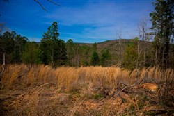 property photo for Stone Creek Phase II Tract 207, 9.72 acres for sale in Latimer County, Oklahoma