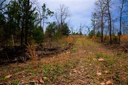 property photo for Stone Creek Phase II Tract 208, 9.53 acres for sale in Latimer County, Oklahoma