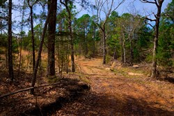 property photo for Stone Creek Phase II Tract 209, 11.41 acres for sale in Latimer County, Oklahoma