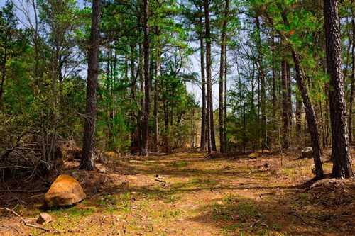 Stone Creek Phase II Tract 210