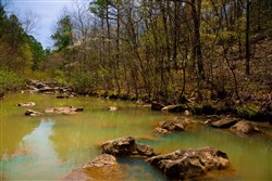 Stone Creek Phase II Tract 210