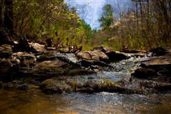 Stone Creek Phase II Tract 210