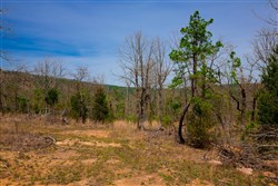 property photo for Stone Creek Phase II Tract 211, 9.14 acres for sale in Latimer County, Oklahoma