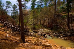property photo for Stone Creek Phase II Tract 211, 9.14 acres for sale in Latimer County, Oklahoma
