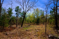 property photo for Stone Creek Phase II Tract 212, 22.47 acres for sale in Latimer County, Oklahoma