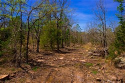 property photo for Stone Creek Phase II Tract 212, 22.47 acres for sale in Latimer County, Oklahoma