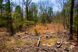 property photo for Stone Creek Phase II Tract 212, 22.47 acres for sale in Latimer County, Oklahoma