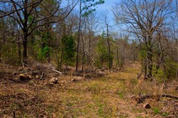 property photo for Stone Creek Phase II Tract 212, 22.47 acres for sale in Latimer County, Oklahoma