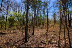 property photo for Stone Creek Phase II Tract 212, 22.47 acres for sale in Latimer County, Oklahoma