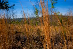 property photo for Stone Creek Phase II Tract 213, 11.36 acres for sale in Latimer County, Oklahoma