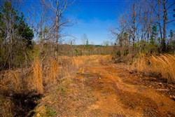 property photo for Stone Creek Phase II Tract 213, 11.36 acres for sale in Latimer County, Oklahoma