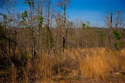 property photo for Stone Creek Phase II Tract 213, 11.36 acres for sale in Latimer County, Oklahoma