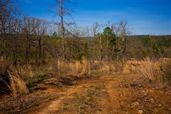 property photo for Stone Creek Phase II Tract 213, 11.36 acres for sale in Latimer County, Oklahoma