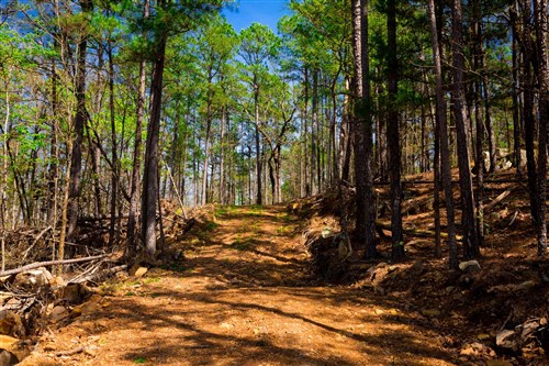 Stone Creek Phase II Tract 214