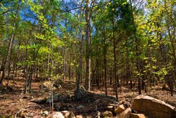 Stone Creek Phase II Tract 214