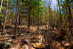 Stone Creek Phase II Tract 214