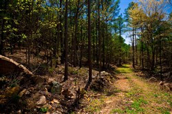 Stone Creek Phase II Tract 214