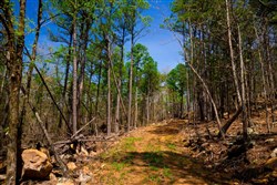 Stone Creek Phase II Tract 214