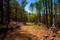 property photo for Stone Creek Phase II Tract 215, 4.92 acres for sale in Latimer County, Oklahoma