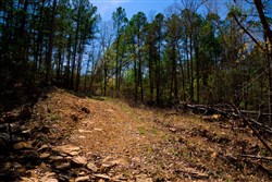 property photo for Stone Creek Phase II Tract 216, 5.87 acres for sale in Latimer County, Oklahoma